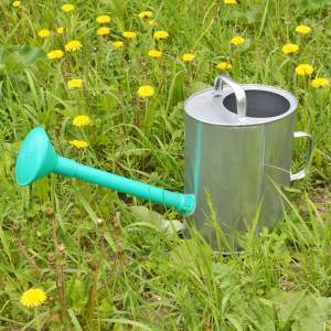 Лейка 10л оцинкованная эллипсная