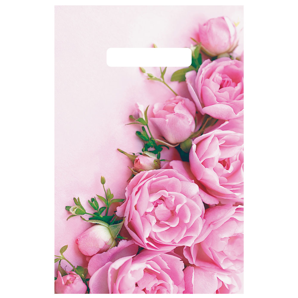 Пакет 20*30см 30мкм с вырубной неусиленной ручкой "Ненси" (100шт)